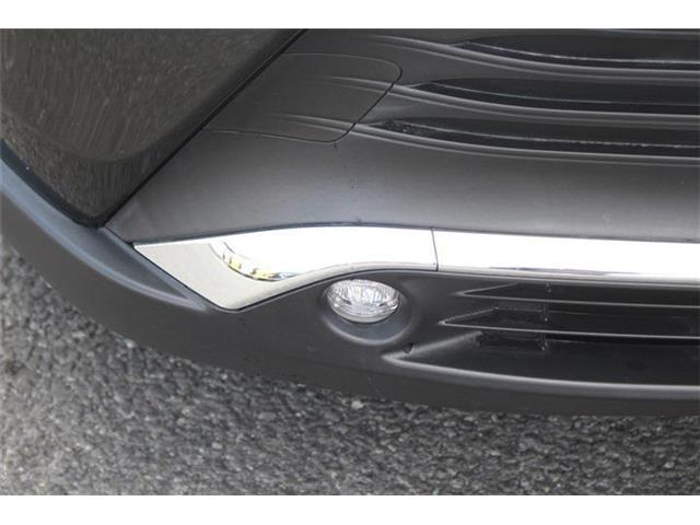 2fb203ef78dafaff6062d2803473e91a.jpg