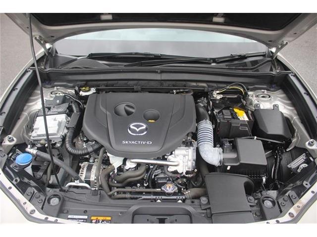 cfe145ff792edbc8e1ff3dd5930ccb5a.jpg