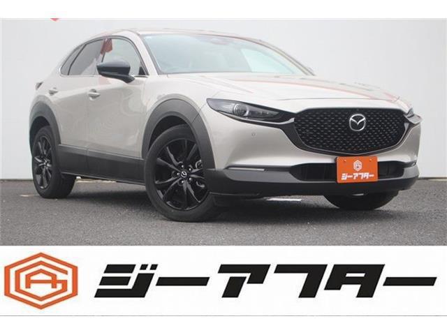 c53edf4953fc1ea06bba6110cd1ee57a.jpg