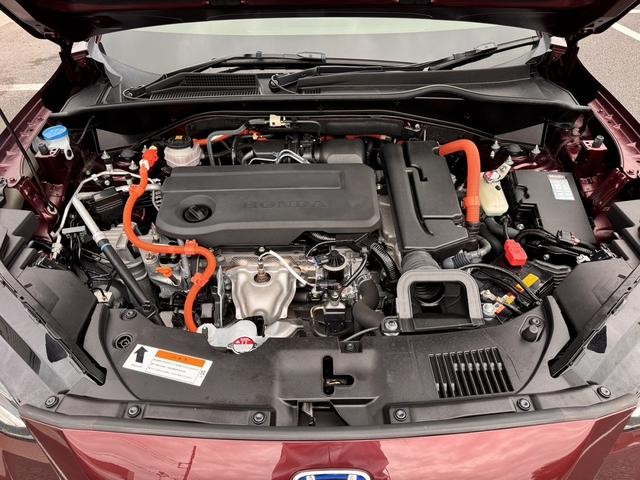 0520006A30260926W00419.jpg