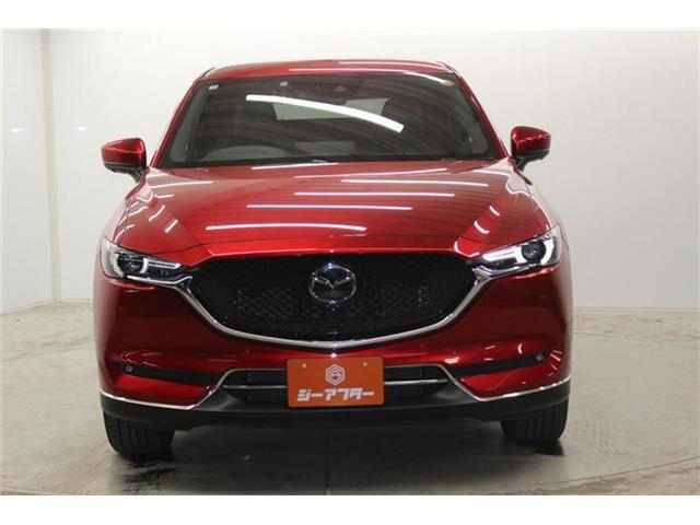 f6fae369dfb69cdcd9bd6fd324d7bfb1.jpg