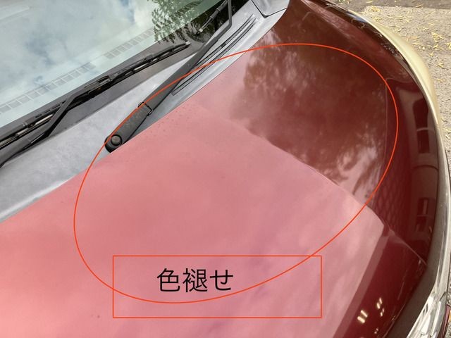 dcc67fc007184d4cb272ec4b94af0a82.jpg