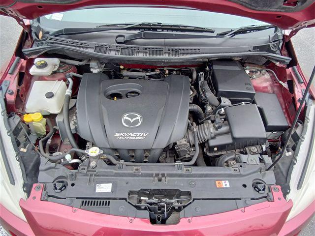 08.jpg