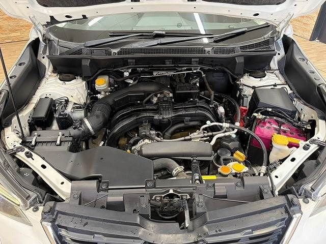 bafef5811c1db47ce264aef79e5a3e3a.jpg