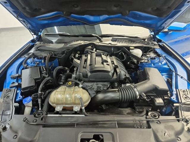 6031501596R5.jpg