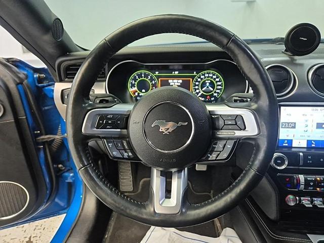 6031501596R9.jpg