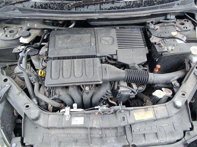08.jpg