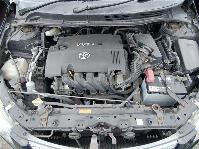 08.jpg