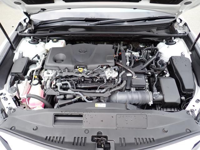 27205187_carP_l_17.jpg