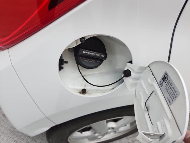 lotterental_090215837_FonoP_4.jpg