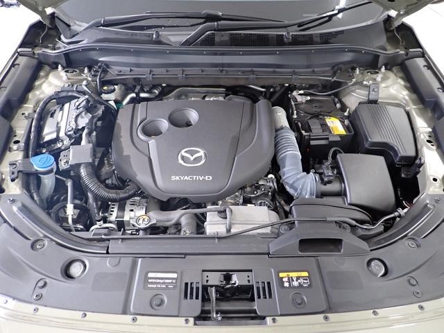 0509002A30260927W00119.jpg