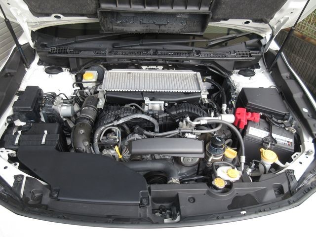 67afec0e4709d5e5f19d1f60d35c1739.jpg
