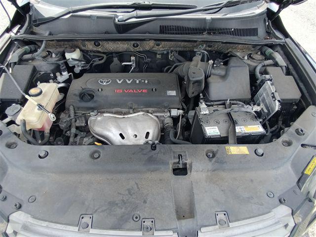 08.jpg