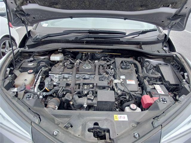 08.jpg