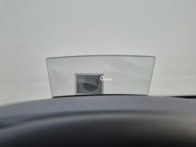 6021501644R17.jpg