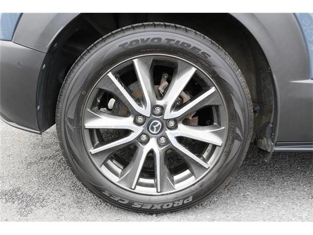 16175cdacbc41cd8bdab27237ad33ed4.jpg
