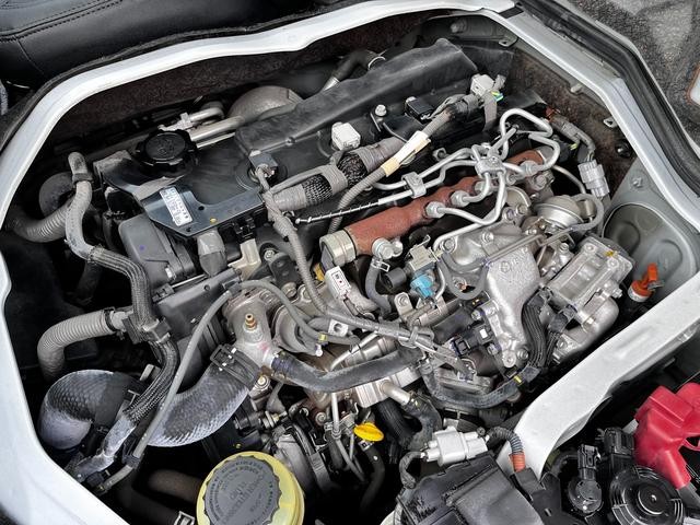 0500199A20260915W00313.jpg