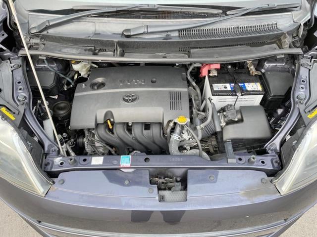 18507311_carP_l_16.jpg