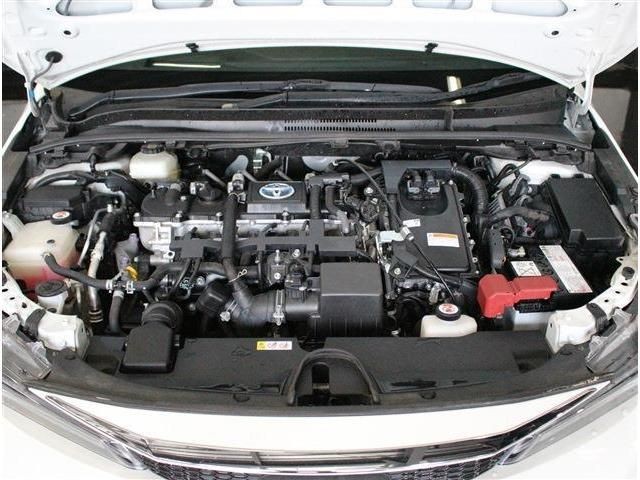 c1eb8474c288004dda624fcbe649cc02.jpg
