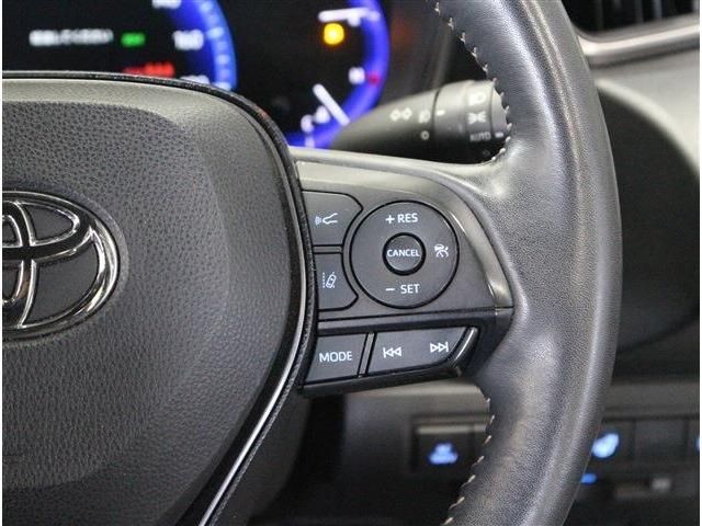 f55e5b54fbdf4918db266ed487649f76.jpg