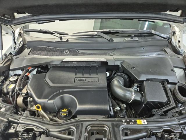 5121501681R5.jpg