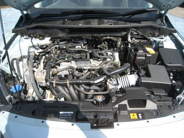 dbf990b755f65036cca85d6c1c7cf7f7.jpg