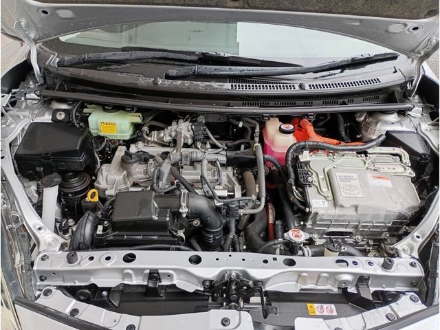 6172ee27b9e99c4cf8393795ab7694d9.jpg