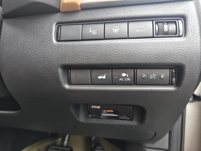 0700007A30260509W00113.jpg