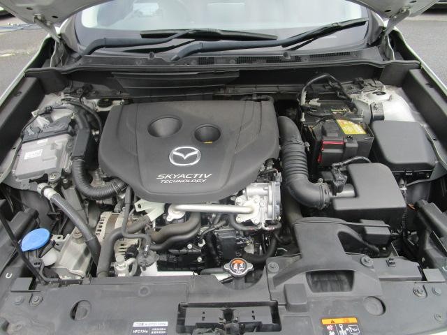 e2cb3718644f8d6b063301faf8166935.jpg