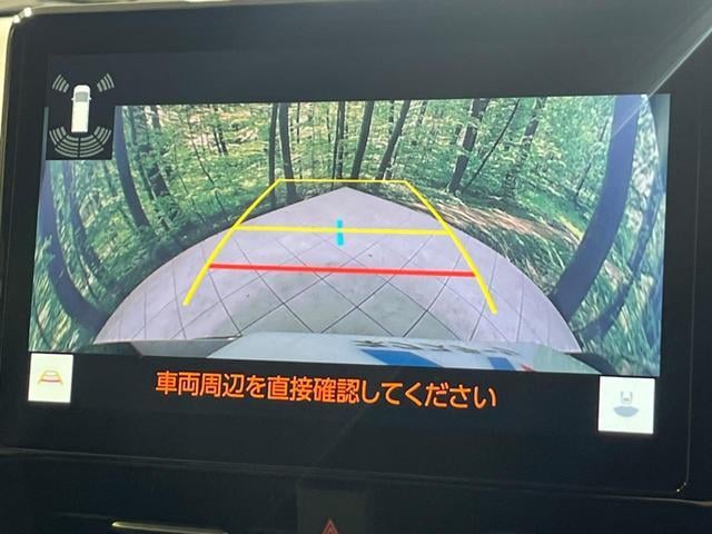 17600856_carP_l_4.jpg