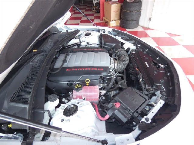 f1a4e563848837066514b38f55d93450.jpg
