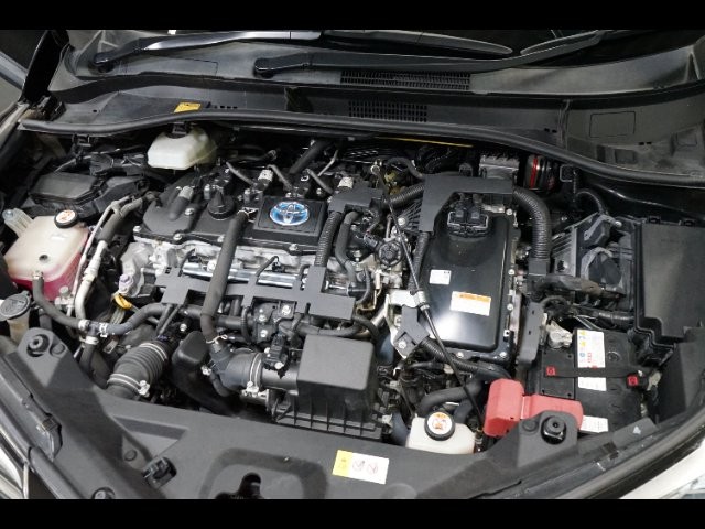 1ffd6d85ada3937bb1ff5e65e4b5cb0e.jpg