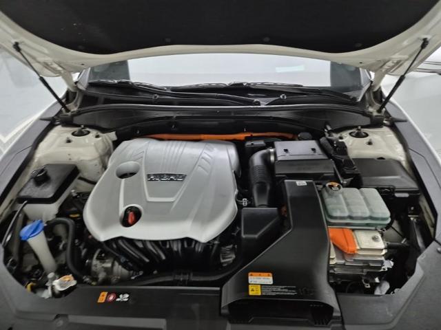 6031000317R5.jpg