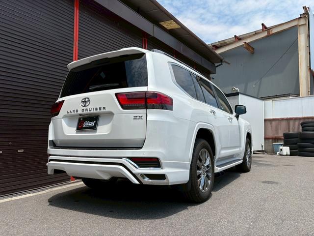0708843A30260611W00110.jpg