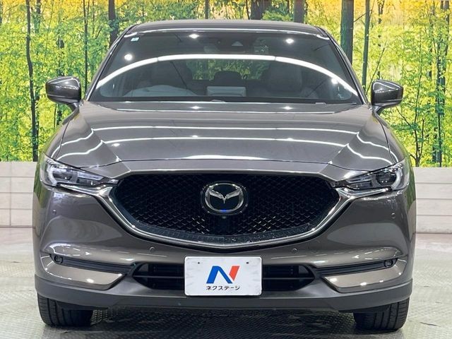 fef45d25ca241c1f2197ad98aabb8705.jpg