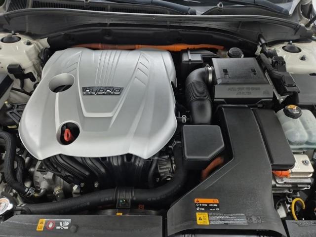 6041002975R5.jpg