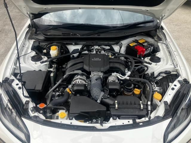 27205434_carP_l_10.jpg