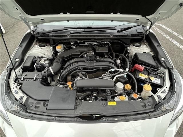 22be721246ef5053257008d8c3c32cf0.jpg