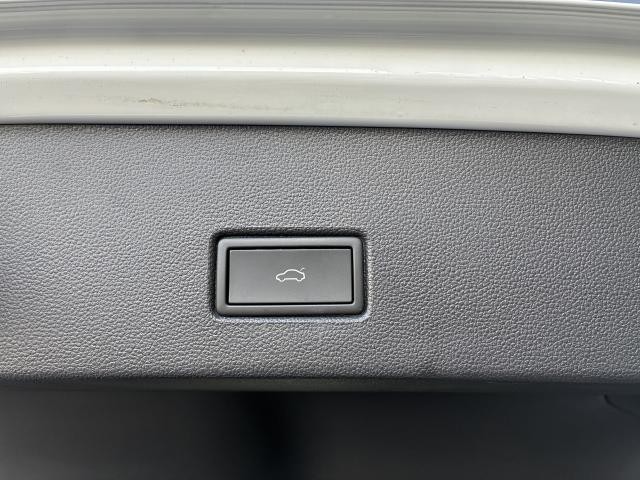 27144182_carP_l_7.jpg