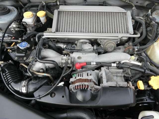 20052753_carP_l_6.jpg