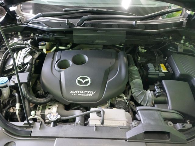 86f47f2bf4800279a1fe30429568bebd.jpg