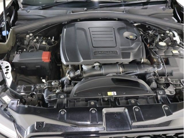 53faa335e9d9a12096797f9621c50392.jpg
