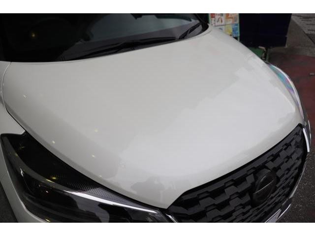 27190004_carP_l_19.jpg