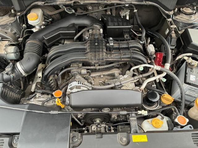 0541751A30261021W00117.jpg