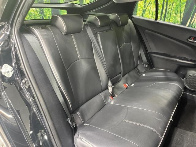 26380435_carP_l_19.jpg