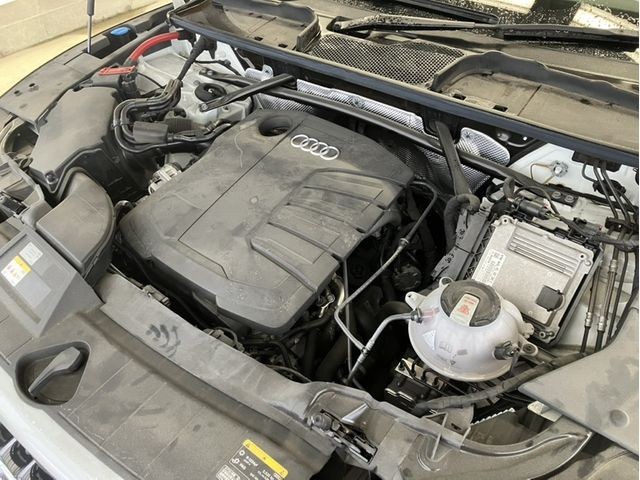1b11536fcb2cf80887ef656b1db85979.jpg