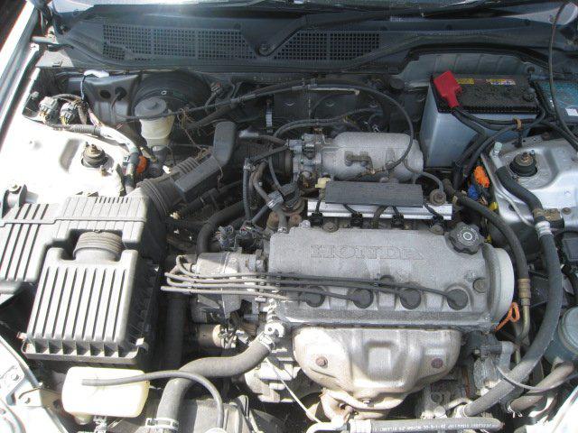 542005f9ee00134b565694e276b60ad0.jpg