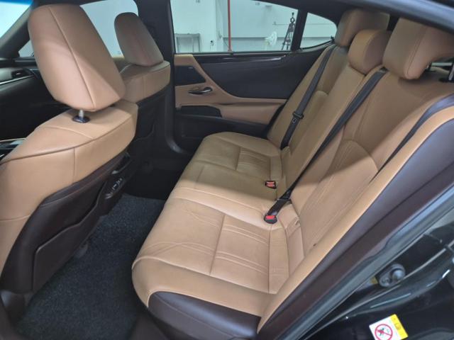 6041500195R12.jpg