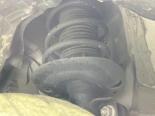 26578582_carP_l_20.jpg