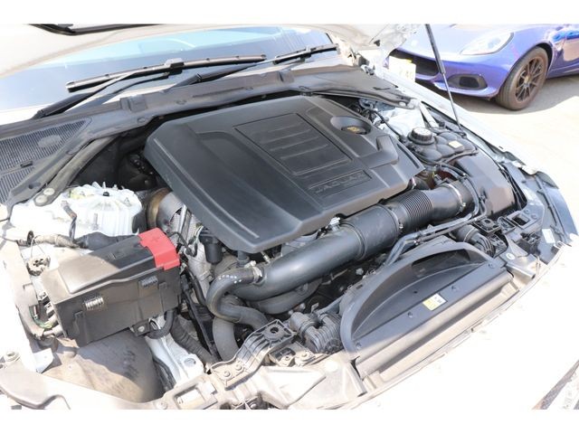 d1b8f55ddfb9ede568d30087f2344021.jpg